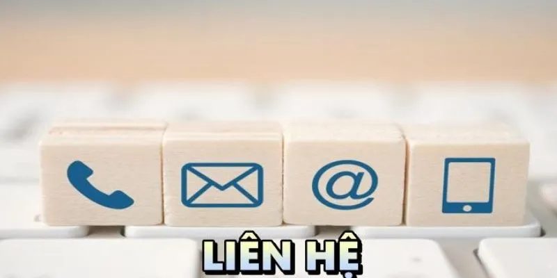 Liên lạc ngay Vin777 khi nghi ngờ gian lận